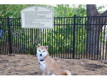 Pet friendly area